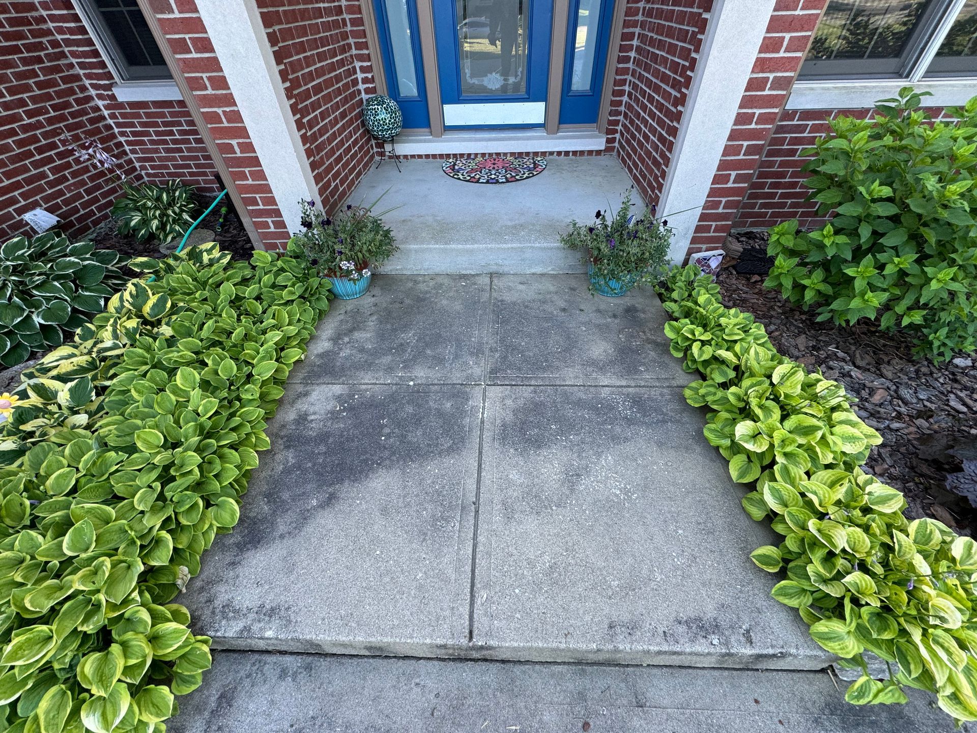 Exterior house cleaning before cleaning